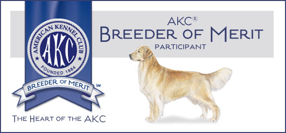 lakebound goldens akc breeder of merit banner