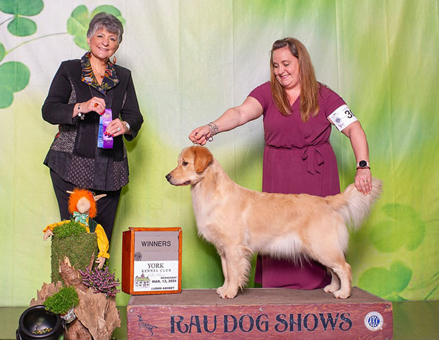tipsy Lakebound’s Three Sheets To The Wind winners bitch york kennel club