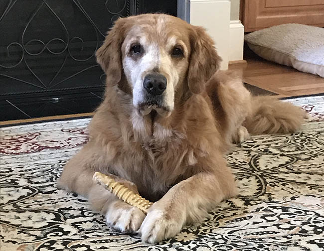 fargo Zest Gateway to the West RN DJ CGC CCAat lakebound goldens