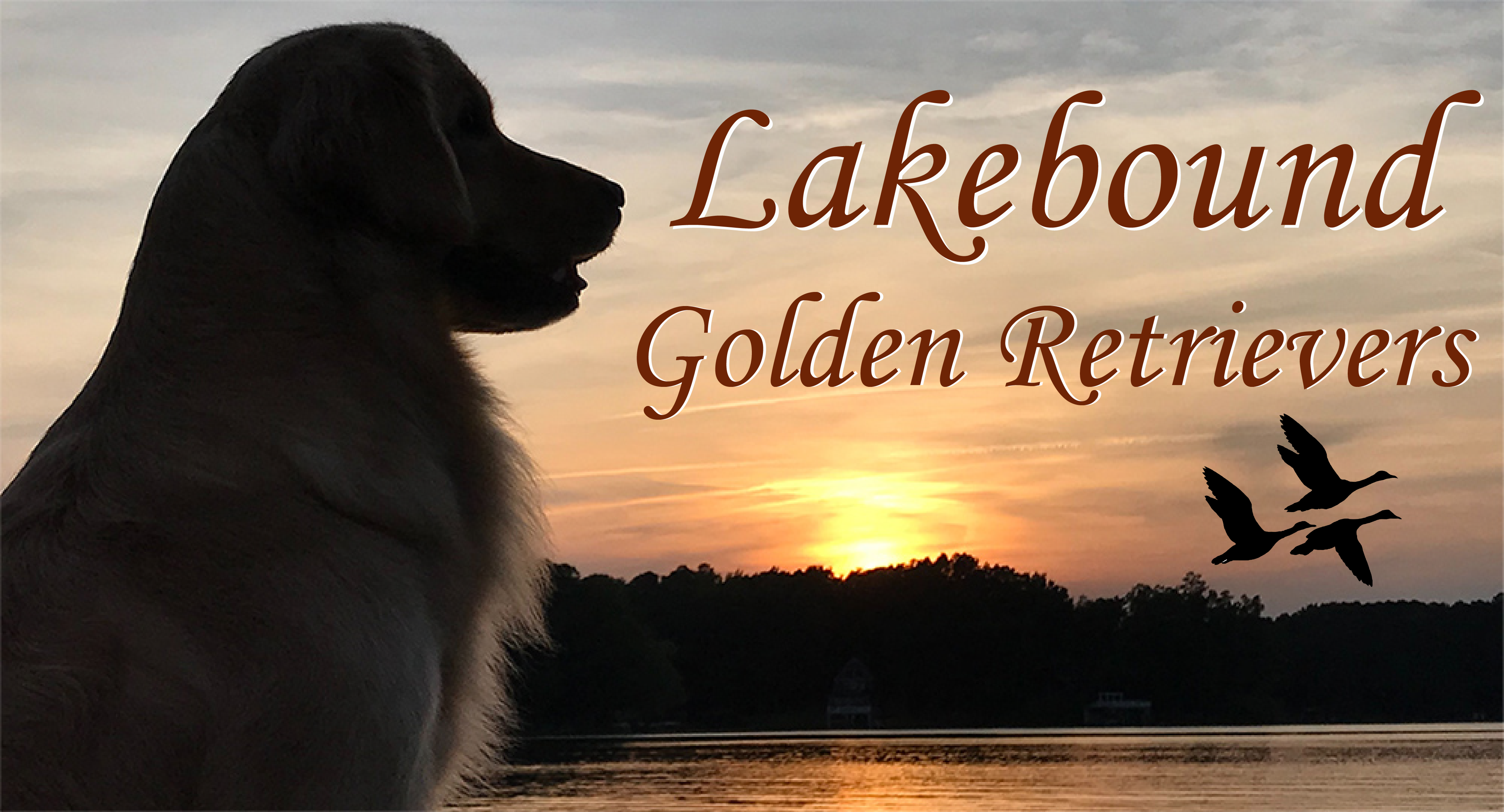 lakebound goldens website logo