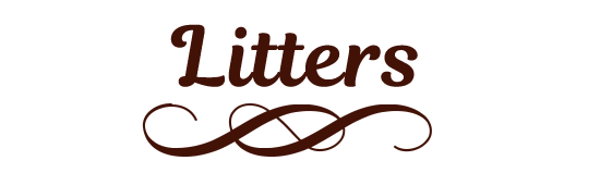 litters at lakebound golden retrievers