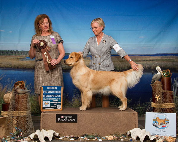 patty mcewen, Sandpipers That's All Bright With Me JH CGC TKI WC, sally of lakebound goldens at the grca national winning 2nd place in sweepstakes