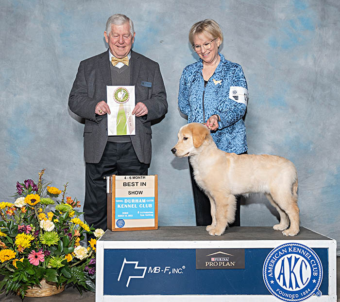 tipsy Lakebound’s Three Sheets To The Wind BPISat lakebound goldens